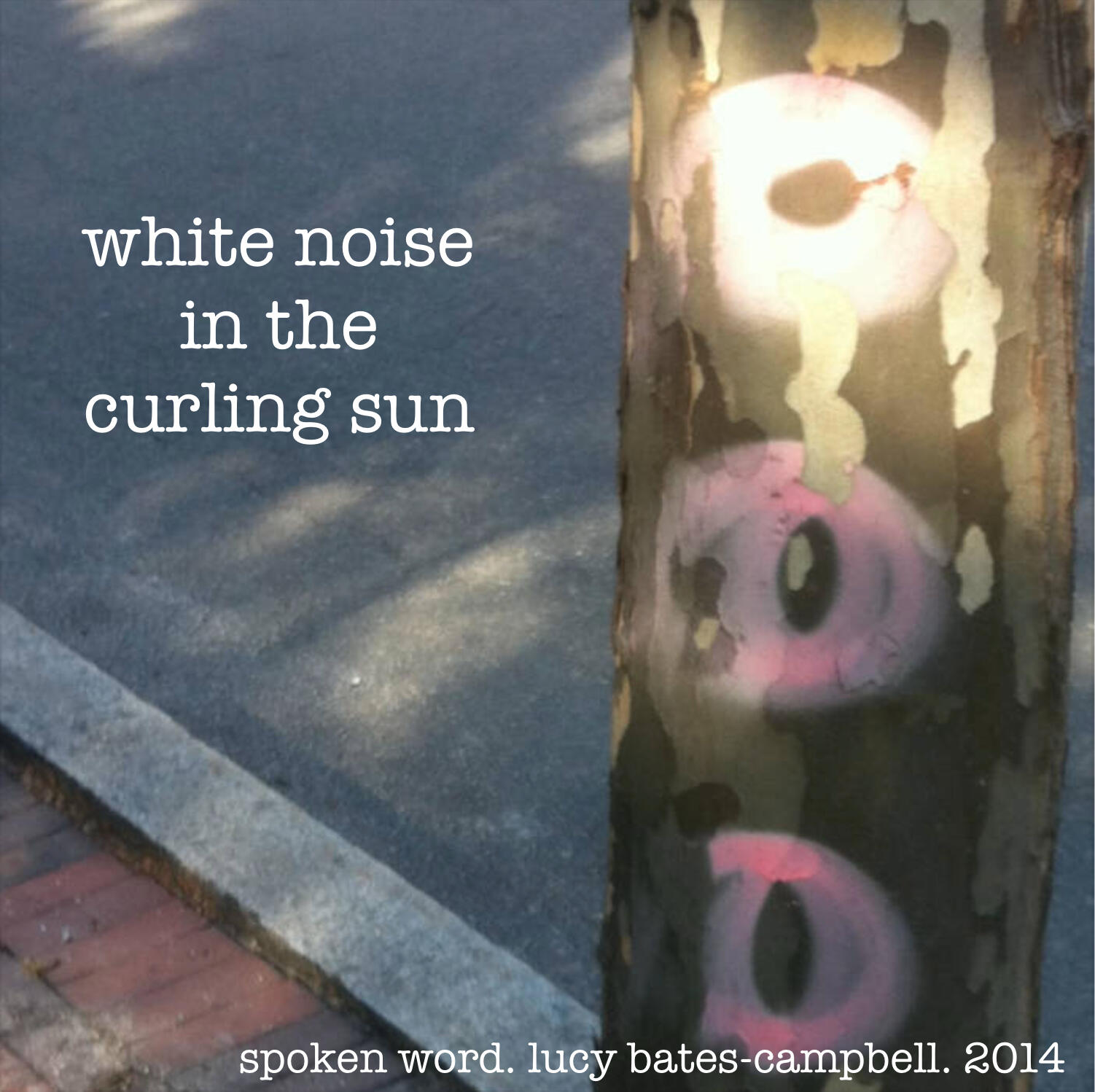 Listen to White Noise in the Curling Sun